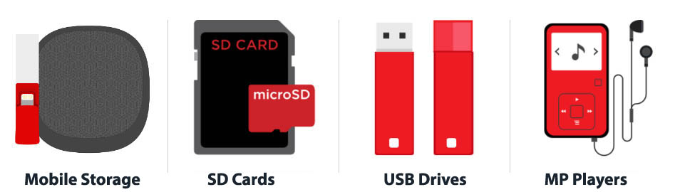 SD Cards and Flash Drives Data Recovery