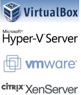 Virtualization Infrastructure Data Recovery Services